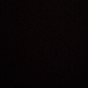 Meet your Posher, Dami